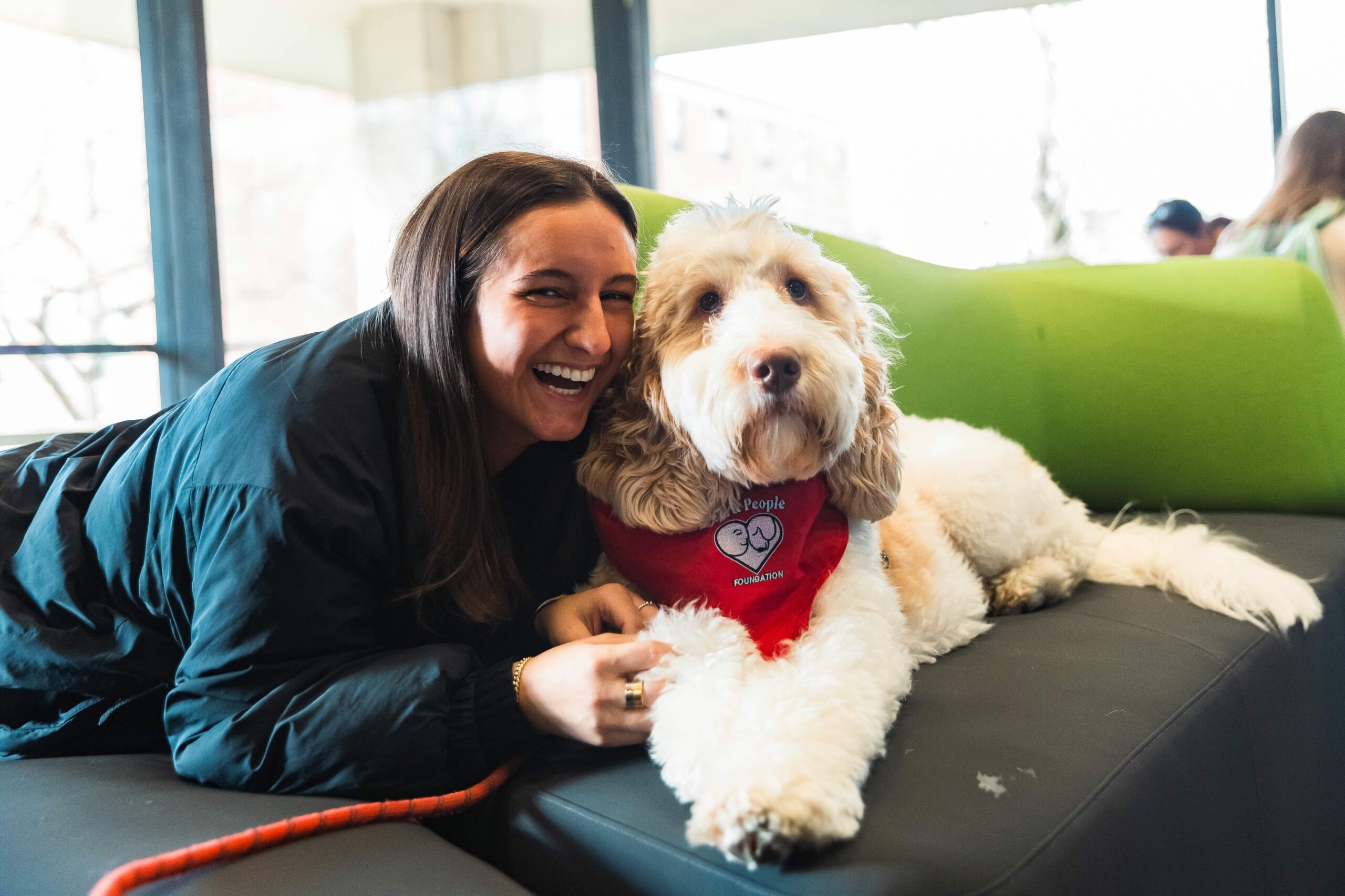 therapy dogs (smaller)